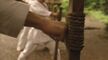 Black Belt 2007 DVDRip JAP-MOC