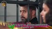 Qayaamat Se Qayaamat Tak-58 Bölüm-17 nisan 2024